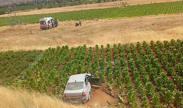 Malatya'da otomobil tütün tarlasına düştü: 3 yaralı