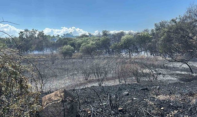 Manavgat'ta boğaz mendirek yolunda korkutan yangın