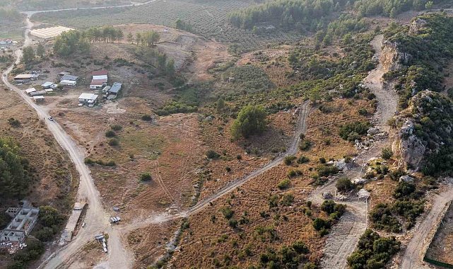 Manavgat'ta sokak hayvanlarına 75 dönümlük yaşam alanı