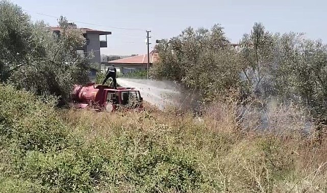 Manavgat'ta tarım arazisinde çıkan yangın söndürüldü