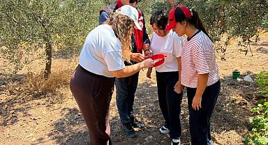 Manisa'da zeytin ve meyve bahçeleri zararlılara karşı takipte