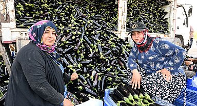 Manisa'da afetzede çiftçinin yüzü gülüyor