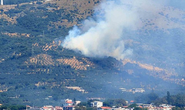 Marmara Adası'nda orman yangını başladı