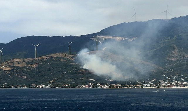 Marmara'da orman yangınına neden olan şüpheli gözaltına alındı