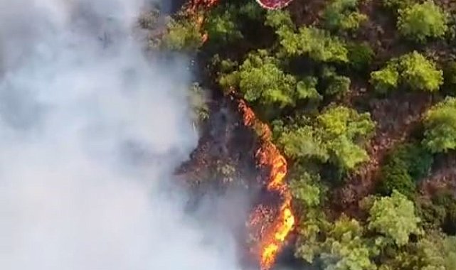 Marmaris'teki yangında hava müdahalesi başladı