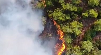Marmaris'teki yangında hava müdahalesi başladı