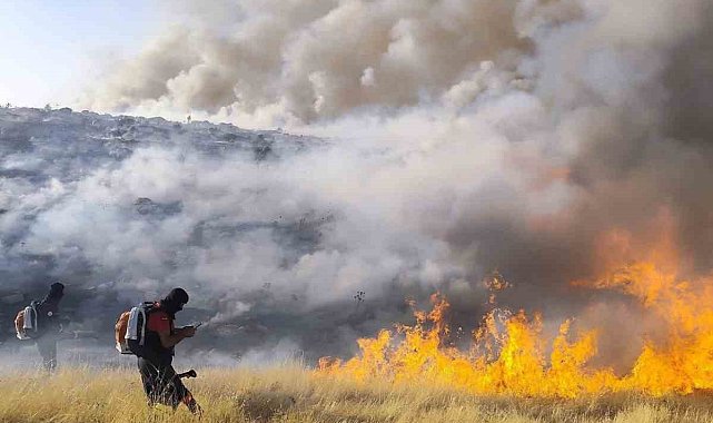 Mazıdağı'nda örtü yangını kontrol altına alındı
