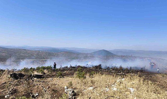 Menteşe'de makilik yangını