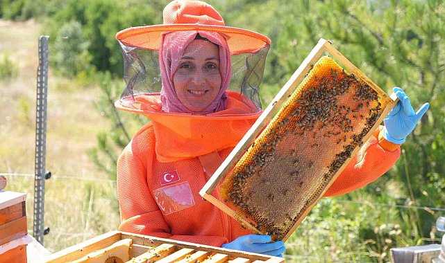 Merakı kadın girişimcinin mesleği oldu, ürettiği bal ve arı sütü için her hafta 900 kilometre yol kat ediyor