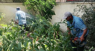 Mersin' de park ve yeşil alanlarda bakım çalışmaları sürüyor