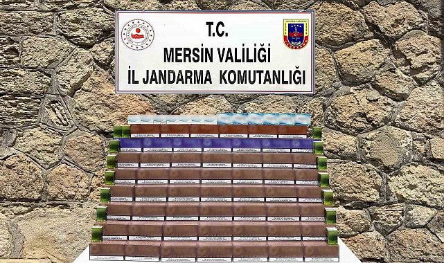 Mersin'de 3 bin 850 paket kaçak elektronik tütün ele geçirildi
