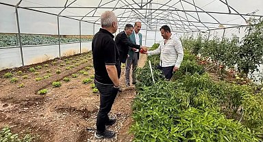 Milletvekili Ateş, doludan zarar gören Eko-Köy'de çiftçileri ziyaret etti