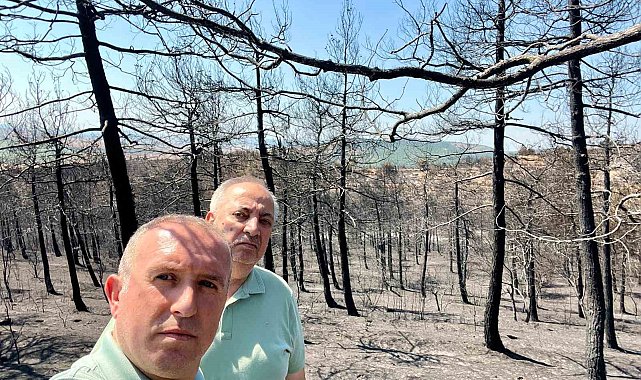 Mimarlar Odası Başkanı Şahin: "Ormanlarımızı alevler kadar ihmaller de yakıyor"
