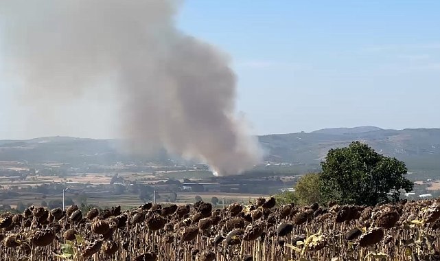 Mudanya'da korkutan yangın: Havadan ve karadan müdahale ediliyor