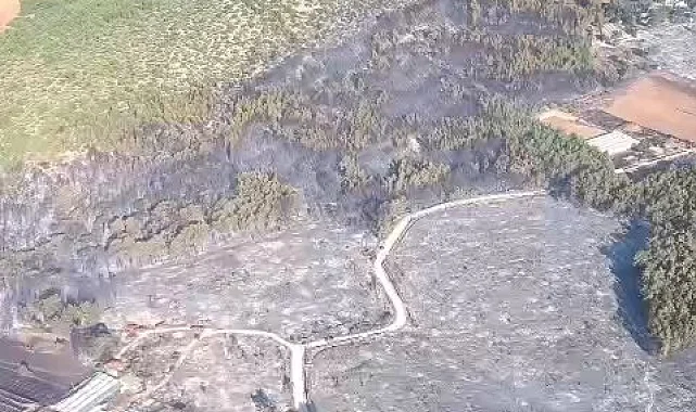 Muğla'da başlayıp Antalya'ya sıçrayan orman yangını kontrol altına alındı