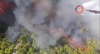 Muğla'da başlayıp Kaş'a sıçradı! Müdahale sürüyor