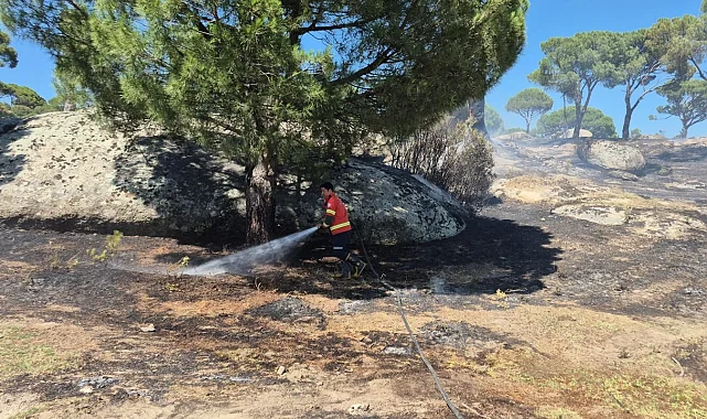 Muğla'da yangınların acı bilançosu! Her 10 yangından 7'si insan kaynaklı