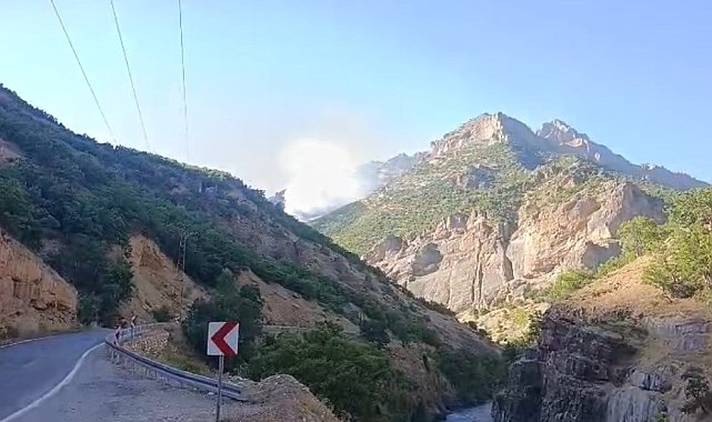 Munzur Vadisi Milli Parkı'nda örtü altı yangınına müdahale sürüyor