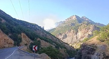 Munzur Vadisi Milli Parkı'nda örtü altı yangınına müdahale sürüyor