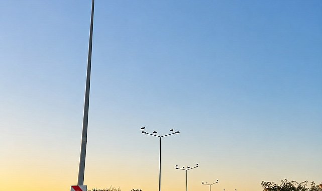 Muratlı'da leylekler direkleri mesken tuttu