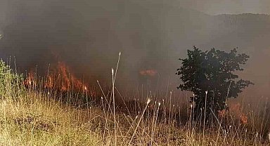 Muş'ta ormanlık alanda çıkan yangın kontrol altına alındı