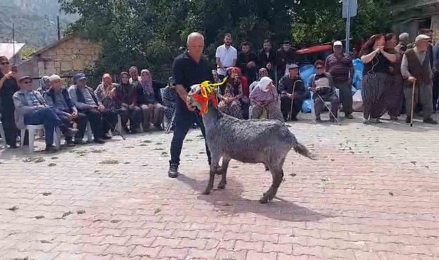 Mut'ta 'keçi güzellik yarışması' düzenlendi