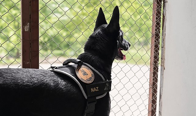 Narkotik operasyonlarının kahramanı narkotik köpeği emekli oldu