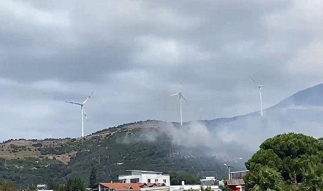 Narlı'daki yangınına havadan ve karadan müdahale ediliyor