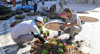 Nazilli Belediyesi kendi yetiştirdiği çiçeklerle Cumhuriyet Meydanı'nı süsledi