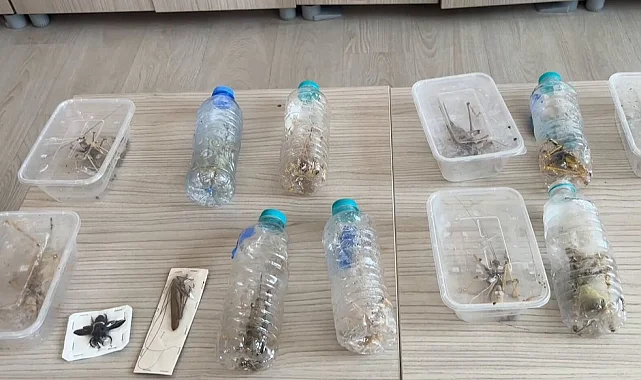 Nemrut'ta biyokaçakçılık operasyonu! 2 kişiye 1,4 milyon TL ceza