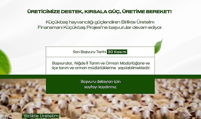Niğde Valiliği'nden küçükbaş hayvancılık projesine başvuru duyurusu