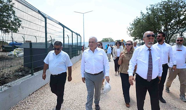 Nilüfer'de sahipsiz hayvanlar için yeni yuva