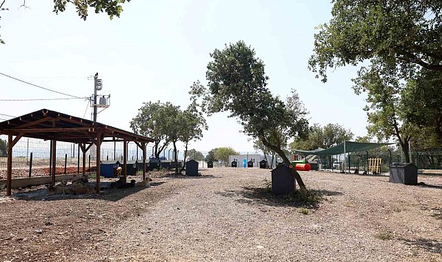 Nilüfer'de sahipsiz hayvanlar için yeni yuva