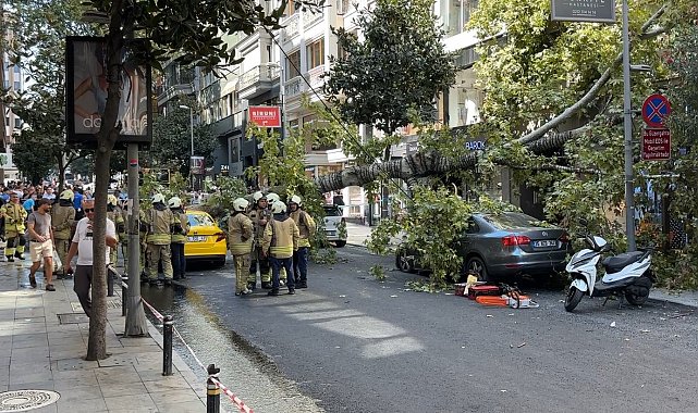 Nişantaşı'nda çınar ağacı iki aracın üzerine devrildi