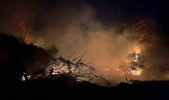 Ödemiş'teki orman yangını kontrol altına alındı