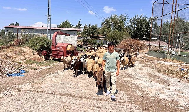 Öksüz ve yetim çoban Suriyeli Abdurrahman'dan kendine sahip çıkan aileye yürek ısıtan teşekkür