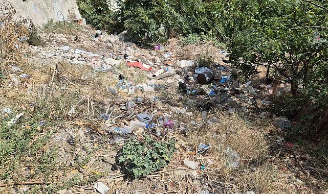 Okulun dibindeki metruk alan çöplüğe döndü