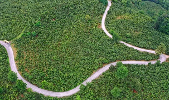 Ordu Büyükşehir'den Ulubey'e 7 kilometrelik asfalt yatırımı