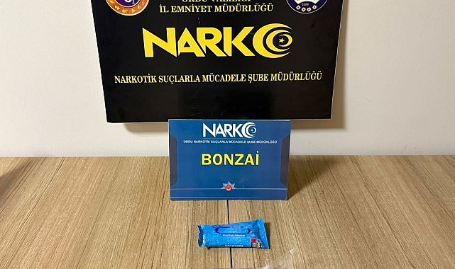 Ordu'da uyuşturucu operasyonlarında 2 tutuklama