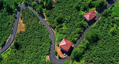 Ordu'da turizm yoluna sıcak asfalt