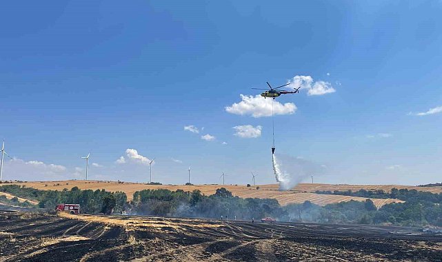Orman ve anız yangını havadan ve karadan müdahaleyle söndürüldü