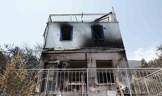 Orman yangınından etkilenen 5 ilde hasar tespit çalışmaları tamamlandı