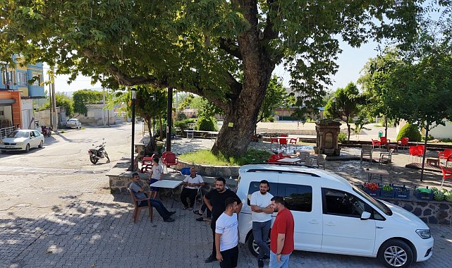 Osmaniye'de 260 yıllık çınar yaz sıcağında doğal klima oluyor