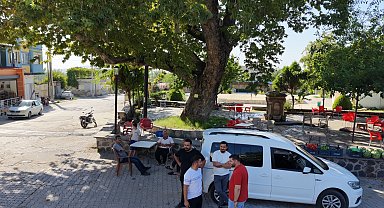 Osmaniye'de 260 yıllık çınar yaz sıcağında doğal klima oluyor