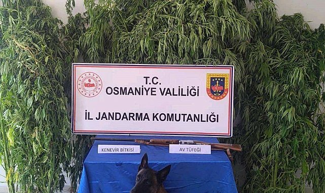 Osmaniye'de jandarma bir haftada 128 şüpheli yakaladı