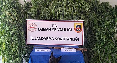 Osmaniye'de jandarma bir haftada 128 şüpheli yakaladı