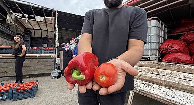 Osmaniyeli kadınların salça ve konserve mesaisi başladı