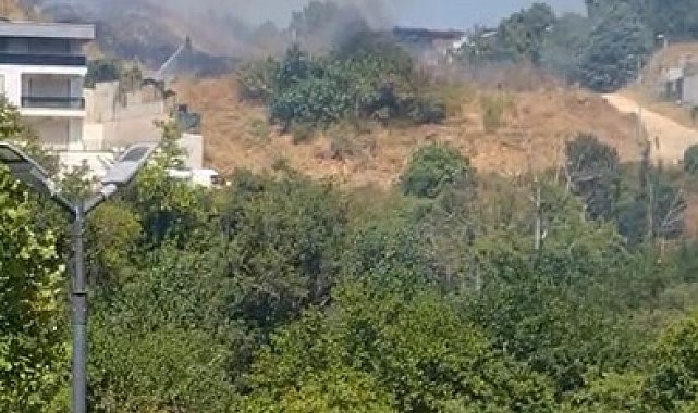 Otluk alanda çıkan yangın hızlı müdahale ile söndürüldü