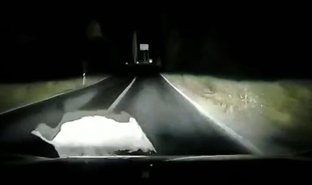 Otomobil domuza çarptı; çarpma anı araç kamerasında