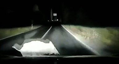Otomobil domuza çarptı; çarpma anı araç kamerasında